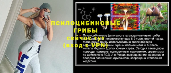 трава Аркадак