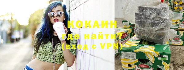 трава Аркадак